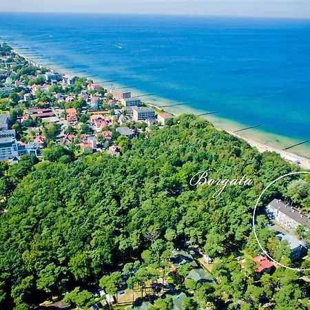 Oda ve Kahvaltı Borgata 4*