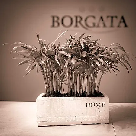 לינה וארוחת בוקר Borgata