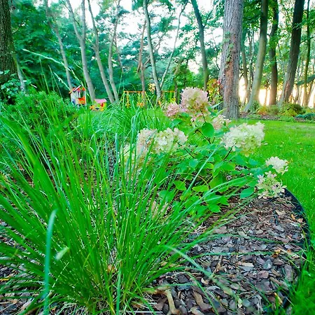 Borgata Bed & Breakfast 4*