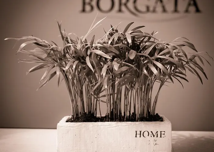 Borgata Frühstückspension 4*