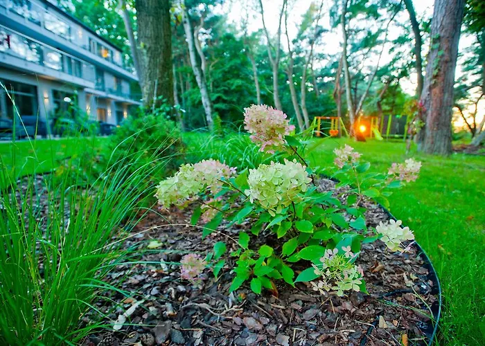 Frühstückspension Borgata Ustronie Morskie